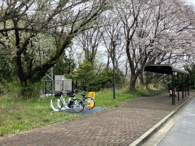 【20250331設置】文教大学_湘南キャンパス1.jpg